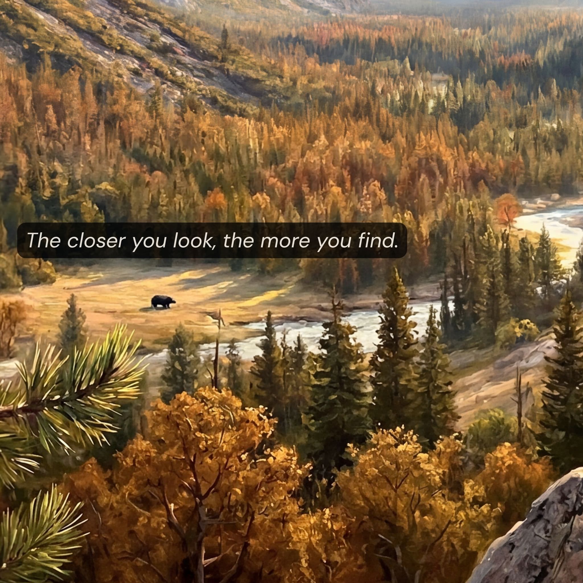 Close-up detail of Black Bear in Yosemite Valley puzzle pieces